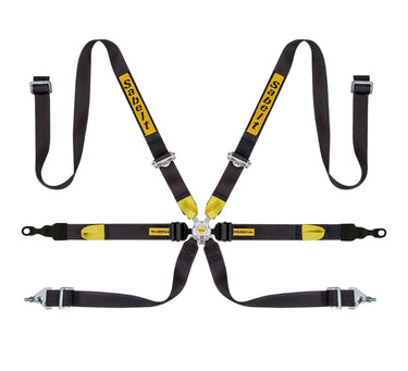 Sabelt Silver Series Enduro Porsche GT2-GT3-GT4 6 Point Racing Harness